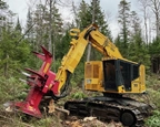 Tracked Feller Buncher working with trees